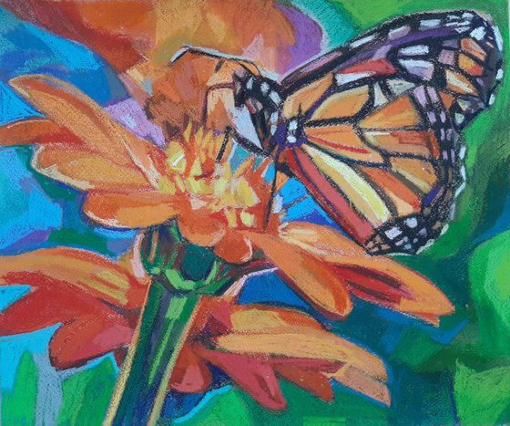 Butterfly  2