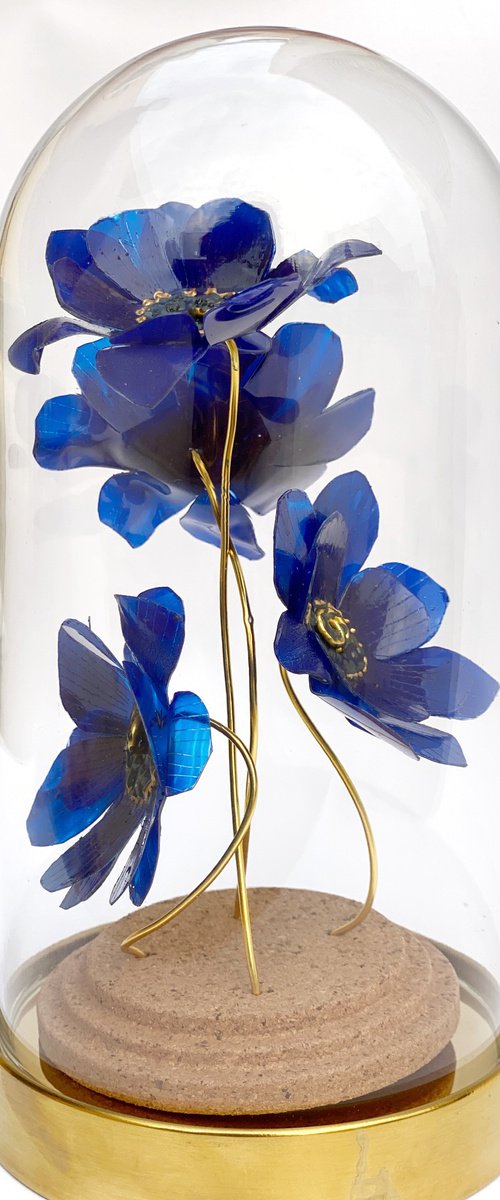 Blue Anemone by Swapna Namboodiri