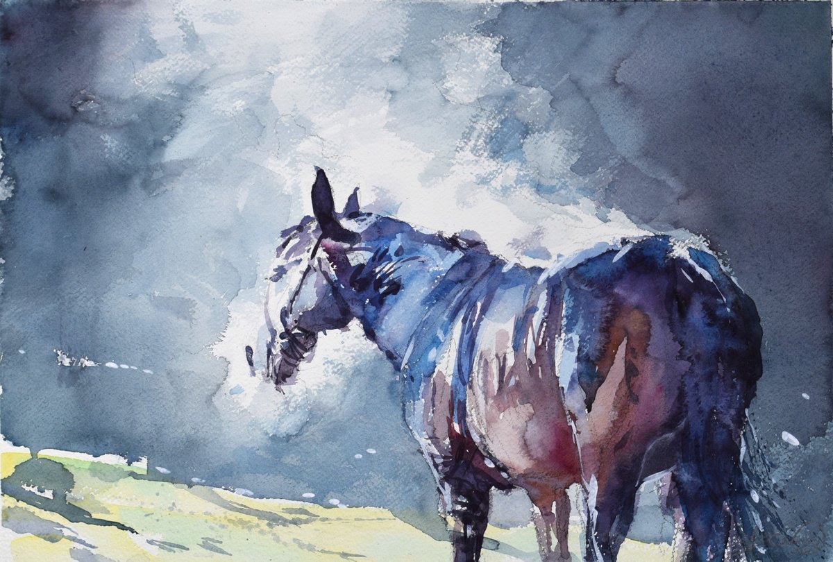 Expressive Animal Watercolour By Goran Zigolic Watercolors, 22 X 15, Horse Steam 5, Original Artwork