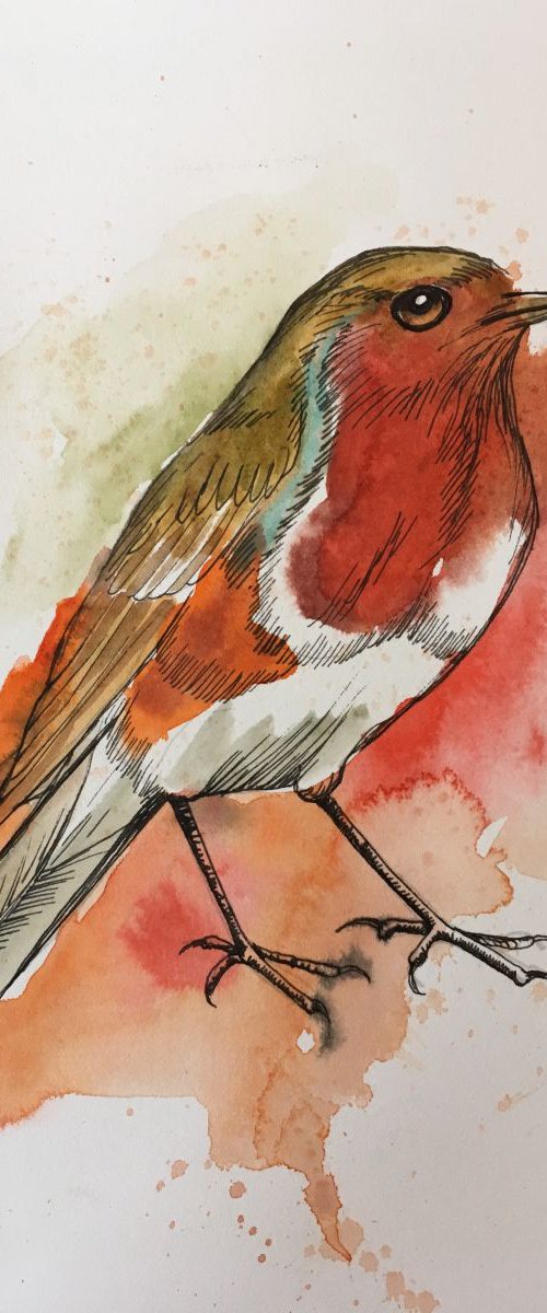 Robin by Amanda Lakin Art