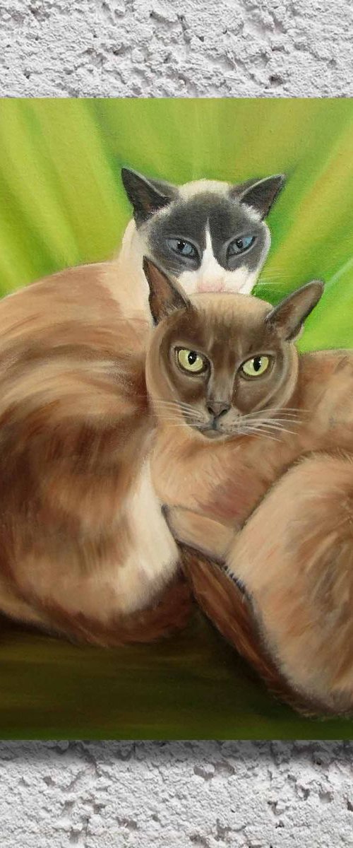 Lovely cats Harley and Jemima by Ira Whittaker