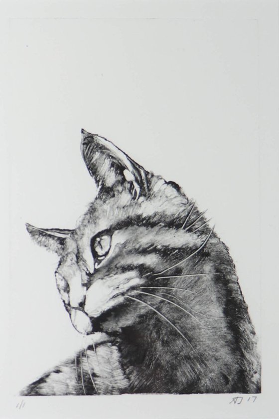 Tigger, Cat Monotype, One of a Kind Printmaking