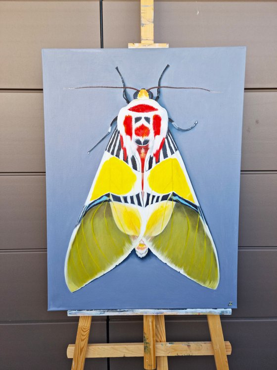 Tiger moth with Clown face