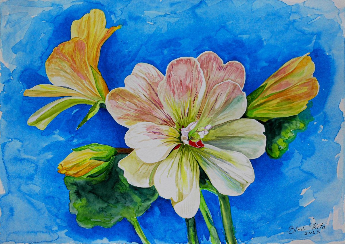 Flowers, watercolor by Bledi Kita