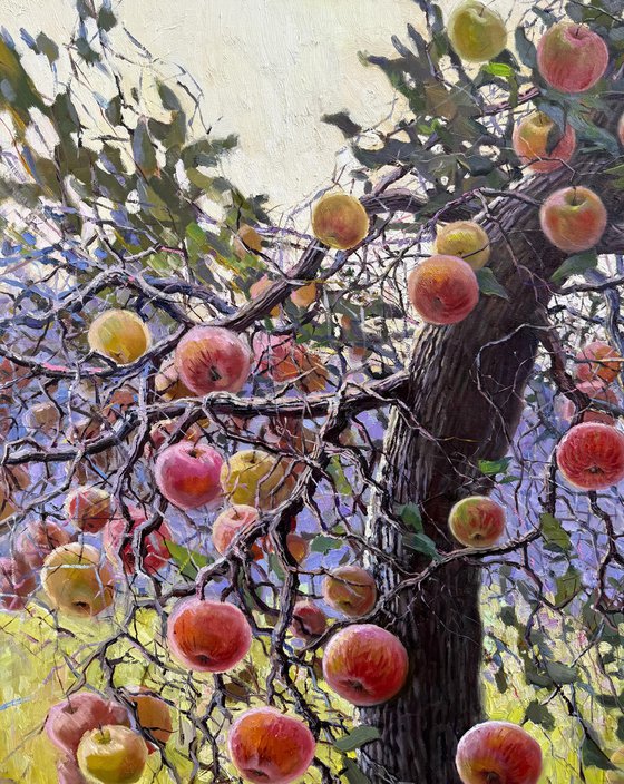 Apple Tree in Summer