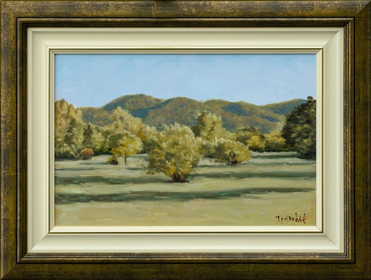 Impressionistic Landscape Oil Painting By Dejan Trajkovic, 19 X 14, Long Shadows On The Meadow, Original Artwork