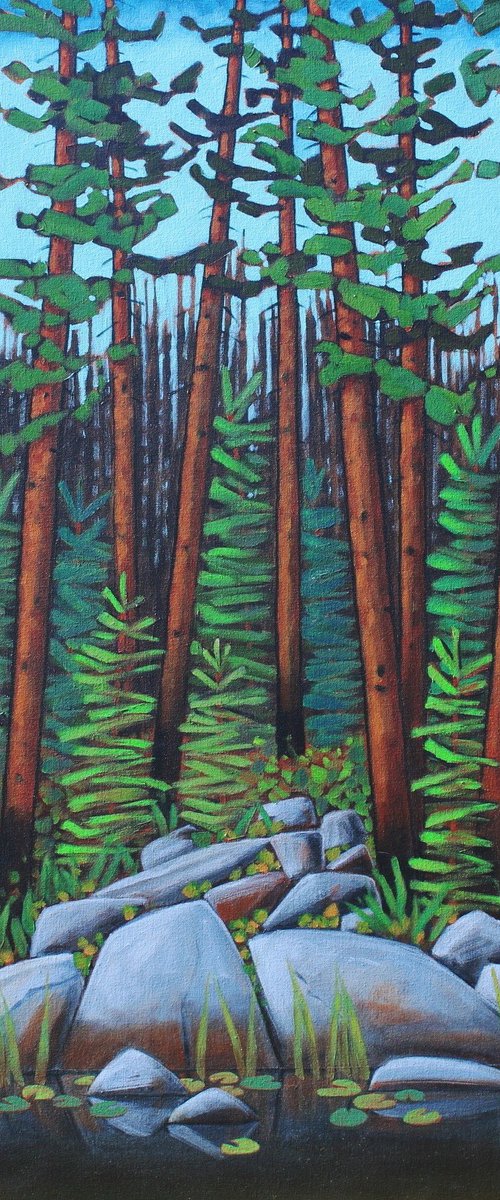 Tall Northern Woods by Sage Mountain Studio