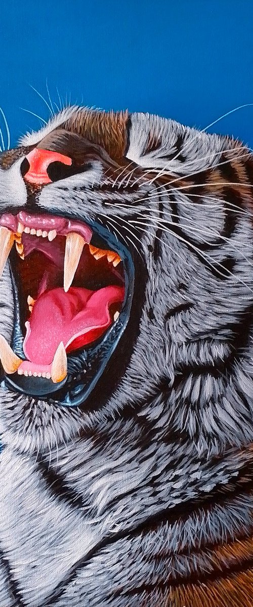 Roar by Barry Gray