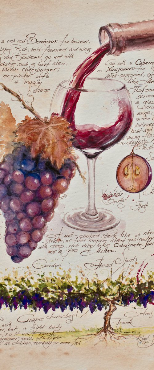 Red wine by Eve Mazur