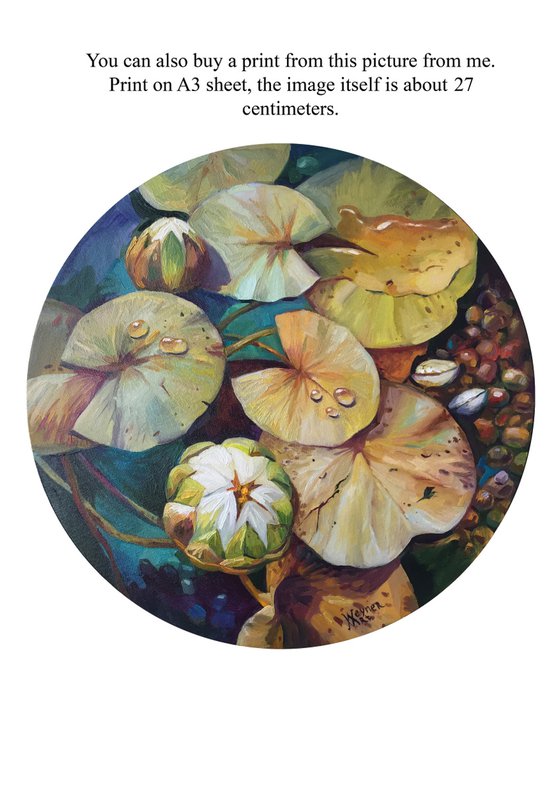 Water lilies. Painting of water lilies.