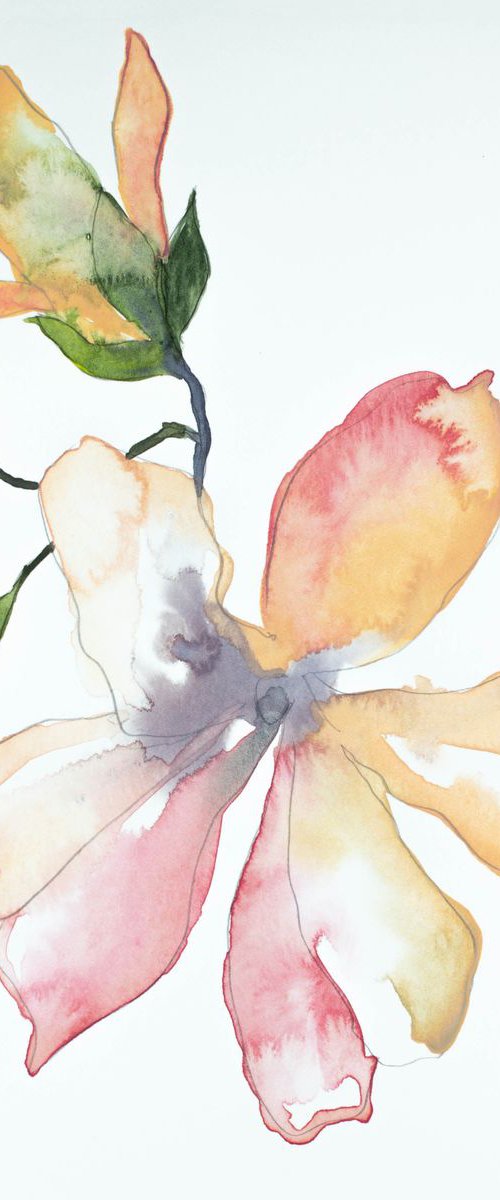 Magnolia Study No. 5 by Elizabeth Becker