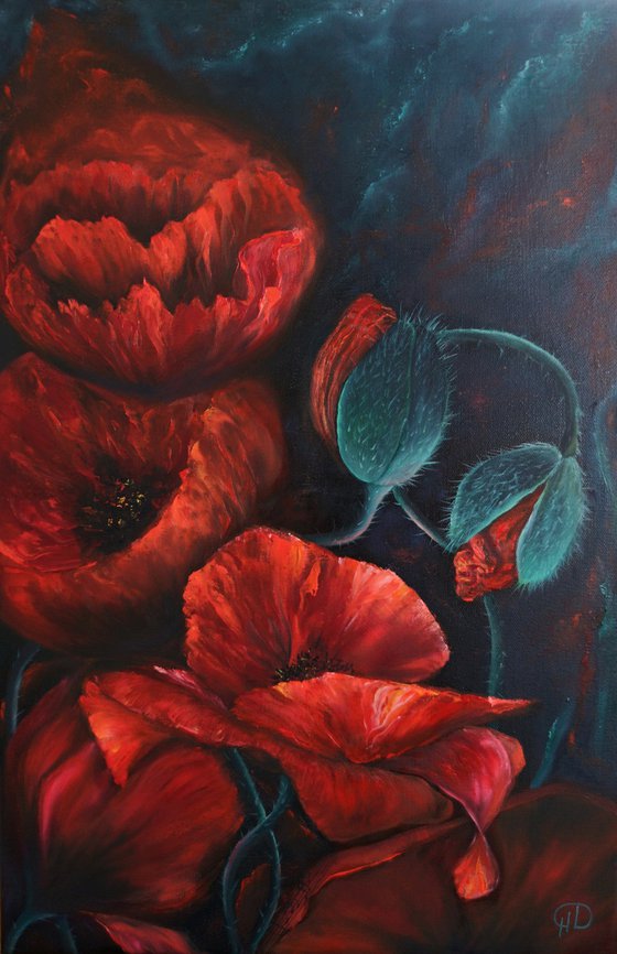Poppy impromptu, Red Poppy
