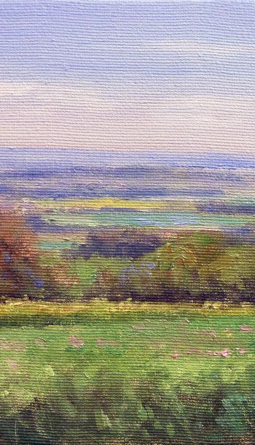 Colza Fields in Provence by Pascal Giroud