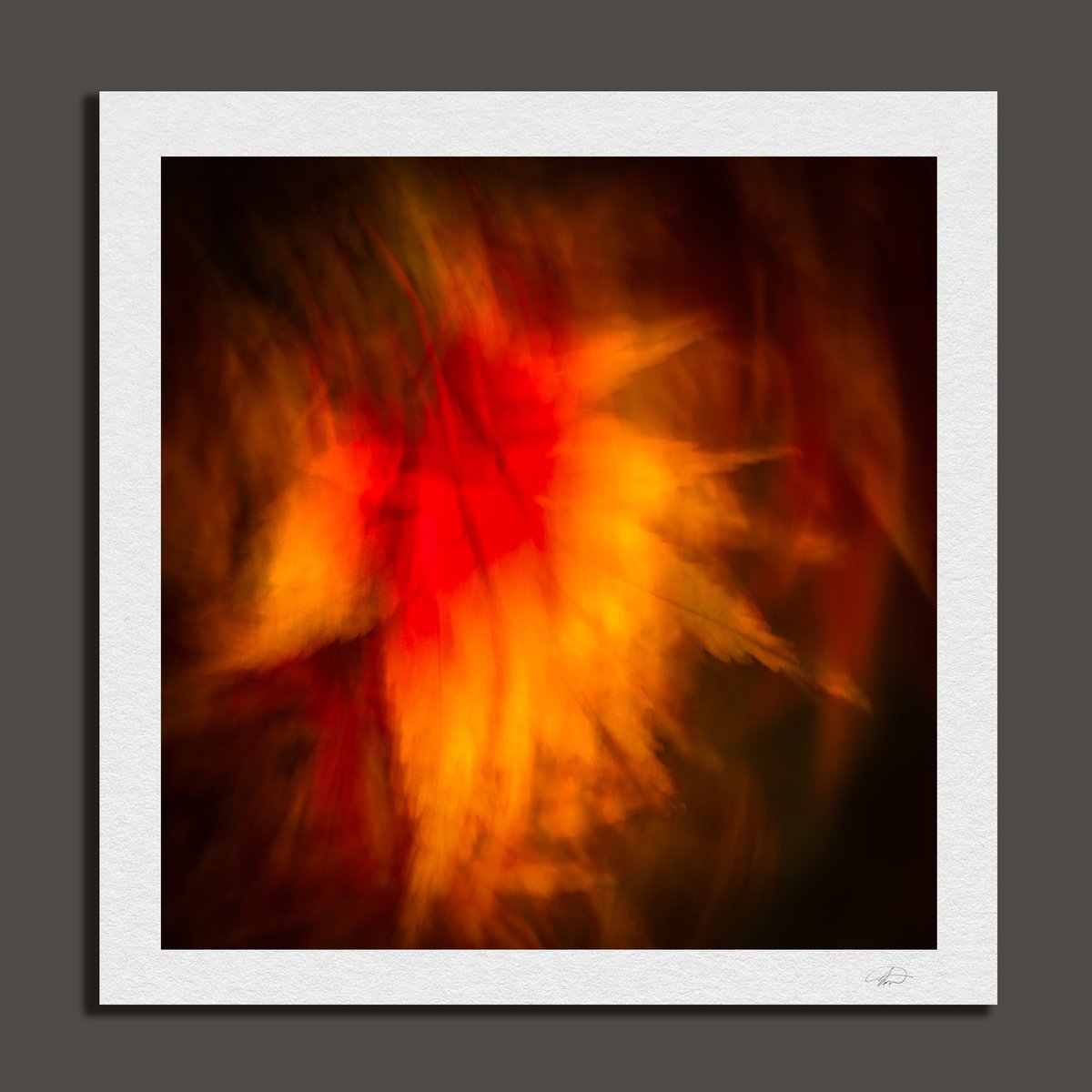 Abstract Botanical Photograph By Lynne Douglas, 36 X 36", Wings Of A Feather, Original Artwork