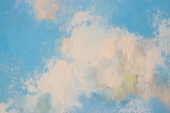 Under Cloud-Kissed Skies