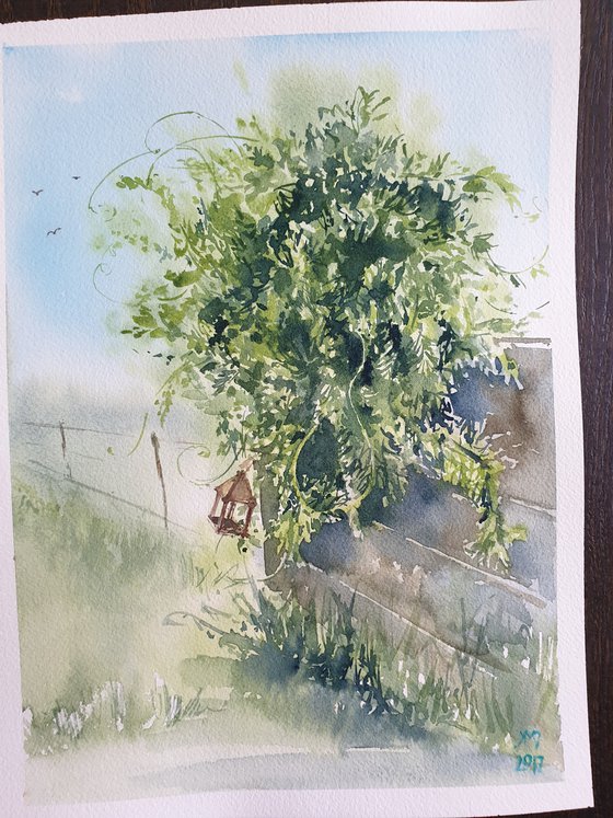 Wisteria watercolor sketch