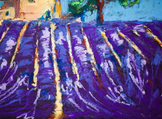 Lavender field in Provence. Medium oil pastel drawing bright colors France