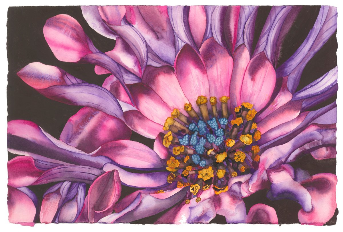 Surrealistic Botanical Watercolour By Mary Lyn Gough, 15 X 22", Devotion, Original Artwork