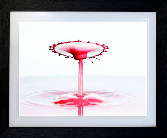 'Bloody Carousel 2' - Liquid Art