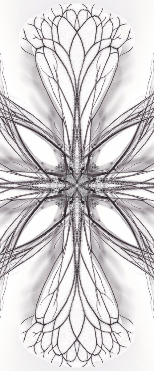 Ruccola by Inna Etuvgi