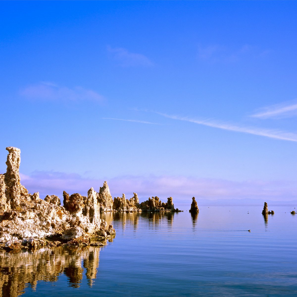 Photorealistic Landscape Photograph By Alex Cassels, 24 X 24, Mono Lake Reflections, Original Artwork