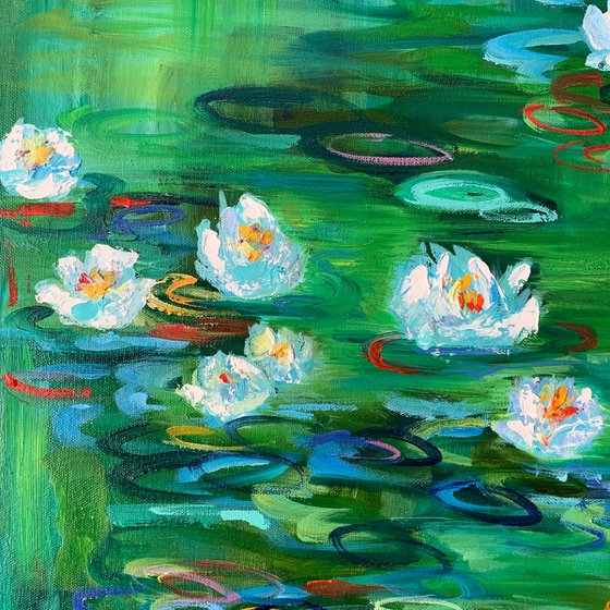 Blue water lilies