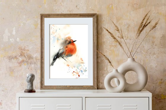 Robin Bird