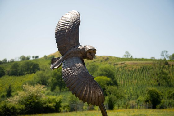 Flying Owl Bronze Resin