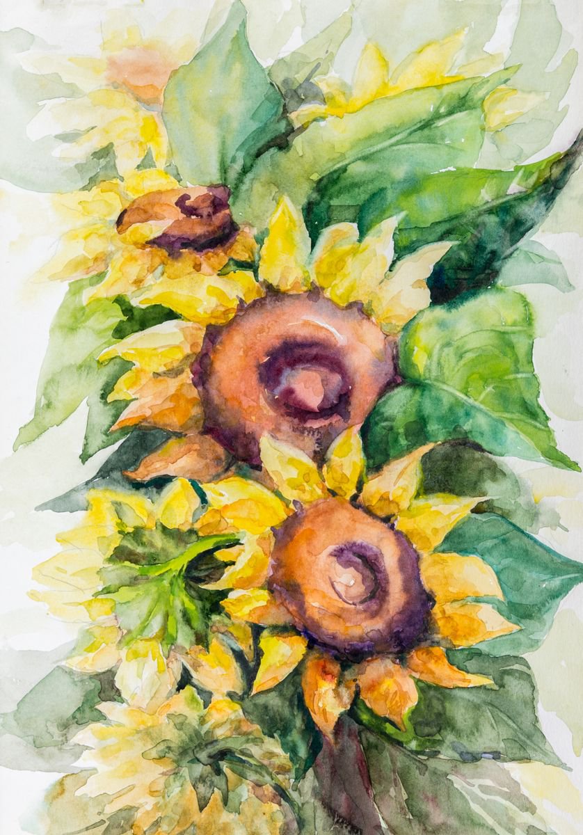 Impressionistic Botanical Watercolour By Galyna Shevchencko, 12 X 16, Sunflowers, Original Artwork