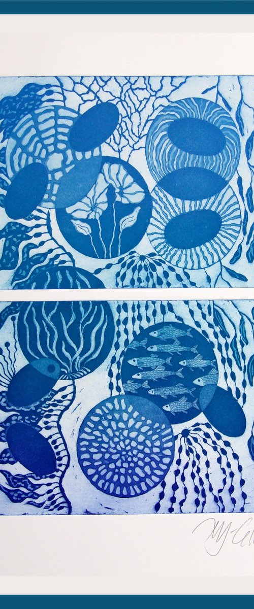 Reef by Mariann Johansen-Ellis