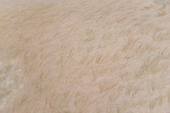 Earthy tones field landscape