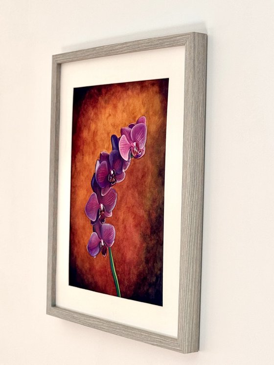 Purple Sensation Orchid Mixed Media Painting