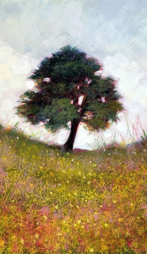 Forever. Sycamore Gap by Jennifer Taylor