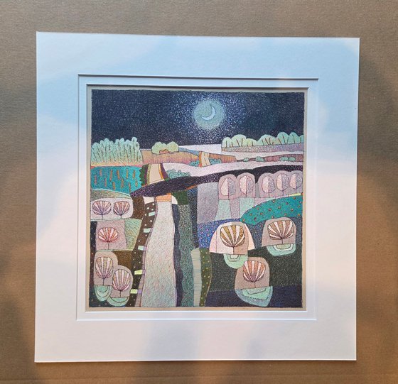 The soft moonlight