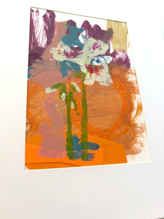 Geranium