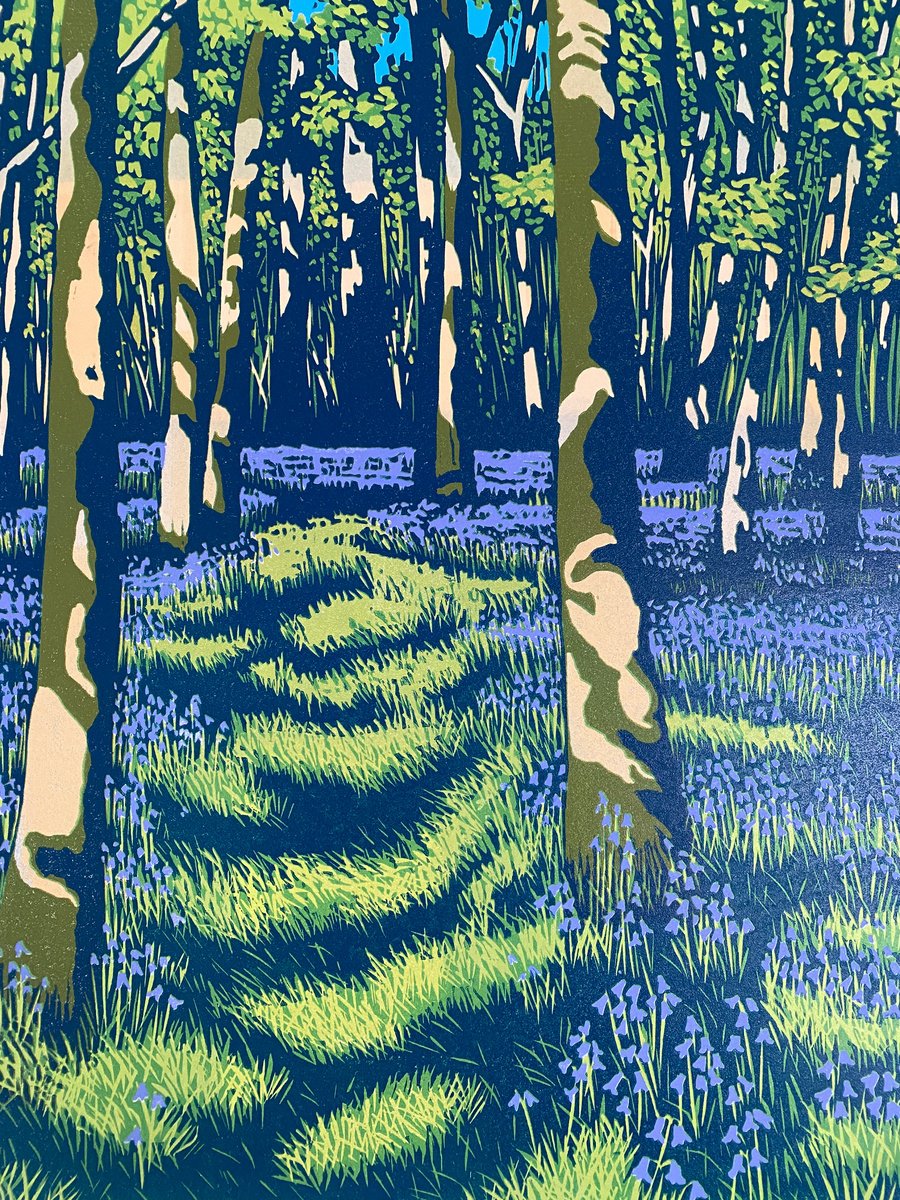 Bluebell Woods by Shirley Watson