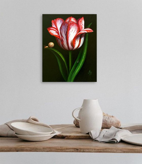 Tulip and snail