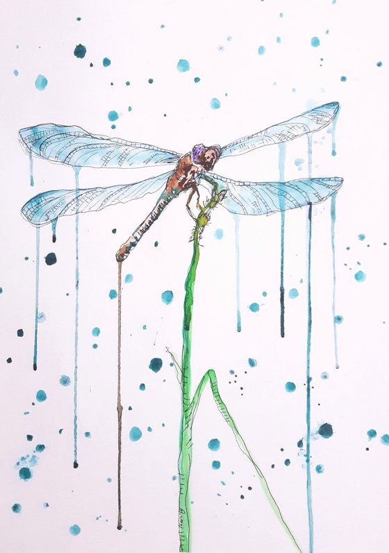 "Dragonfly"