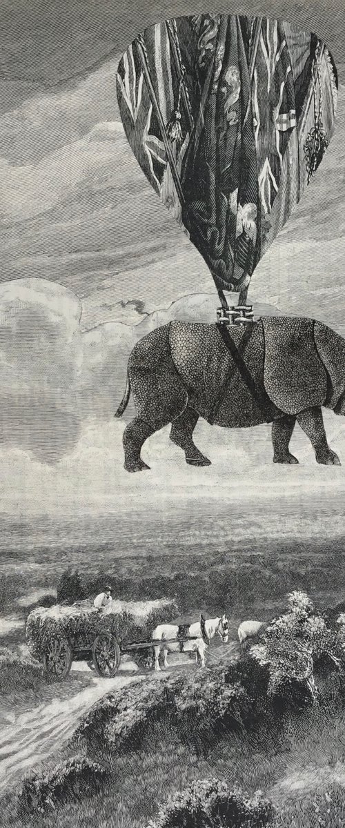 Rhino Balloon by Tudor Evans