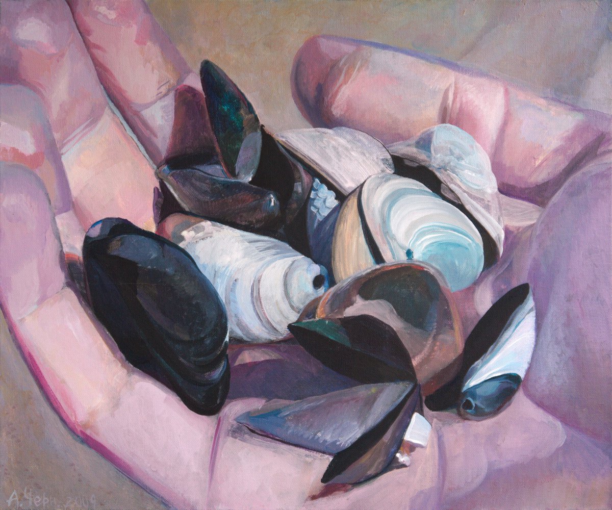  Shells In Hand By Anastasia Chernysheva, 24 X 20, Artwork For Sale On Artfinder