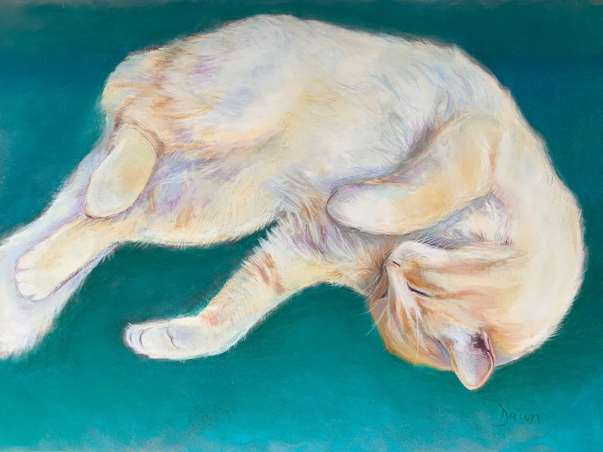 Caramac Sleeping (cat) by Dawn Rodger