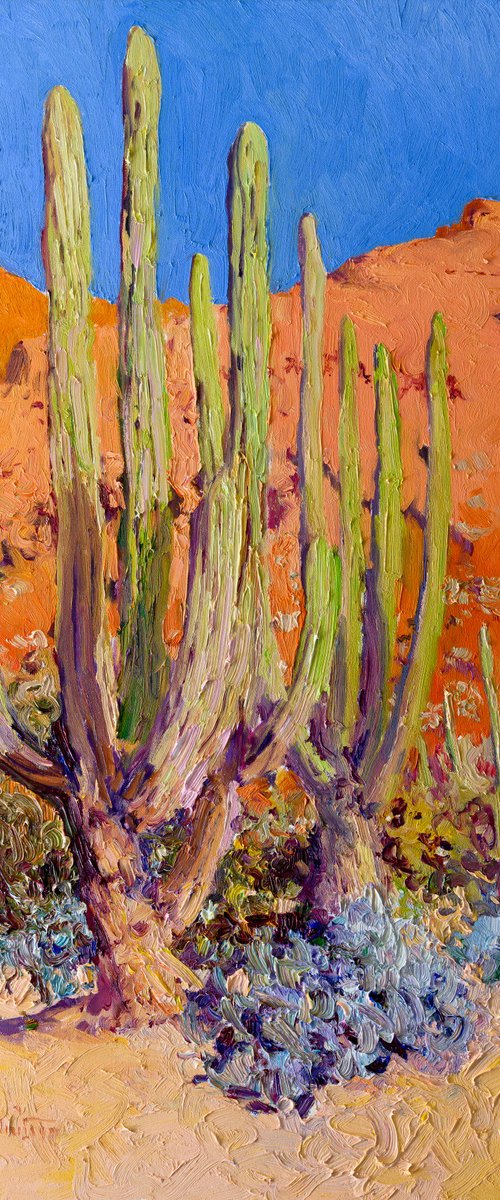 Cactuses in the Desert by Suren Nersisyan