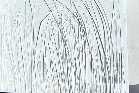 Meadow grasses