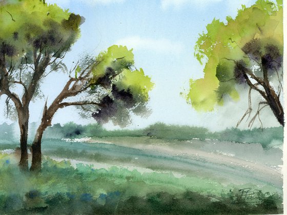 Summer Breeze