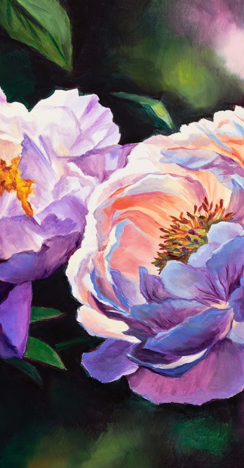 Pink and white peonies in the garden by Lucia Verdejo