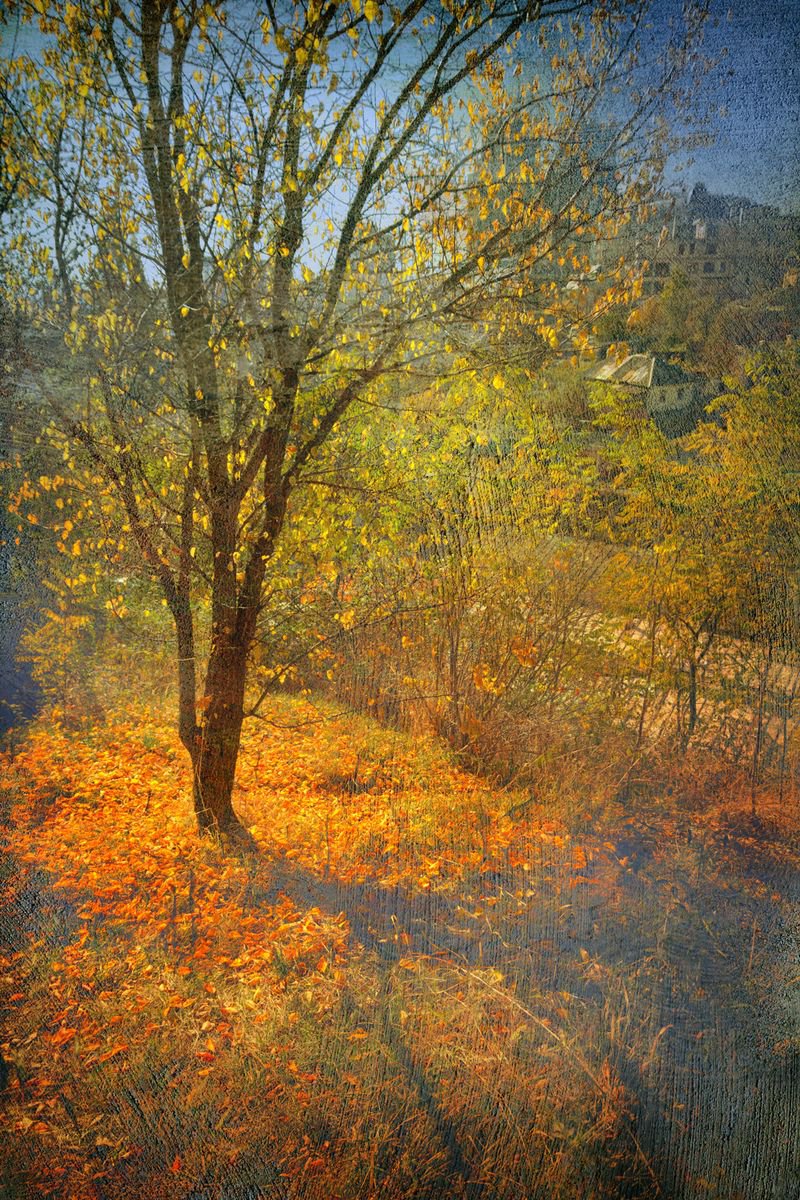 Autumn palette. by Valerix