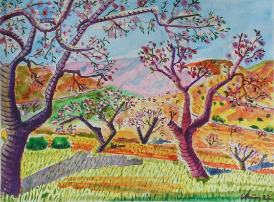 Andalucian almond blossom trees