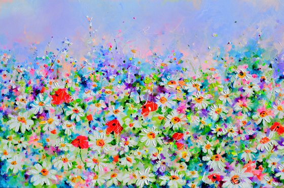 White Daisy and Red Poppy Field