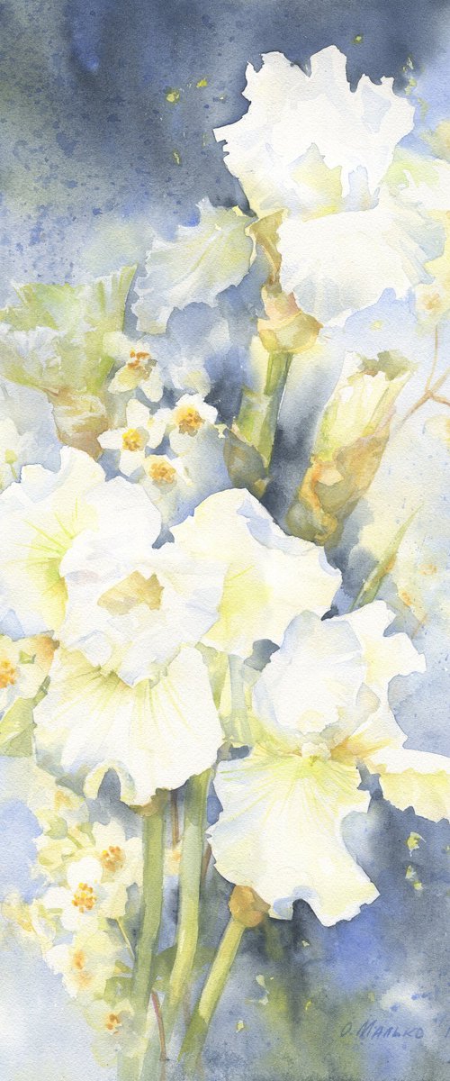 Winter dreams (White irises) by Olha Malko