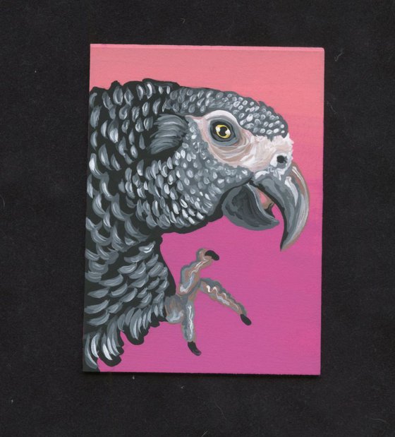 ACEO ATC Original Painting African Grey Gray Parrot Pet Wildlife Art-Carla Smale